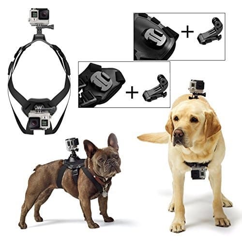 Dog Harness Chest Mount